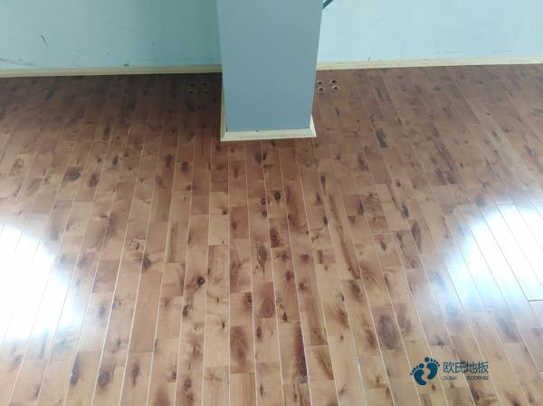 德國原木限制砍伐對(duì)我國影響幾何