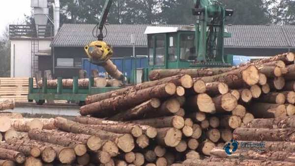 學(xué)校籃球場館地板耐磨度3