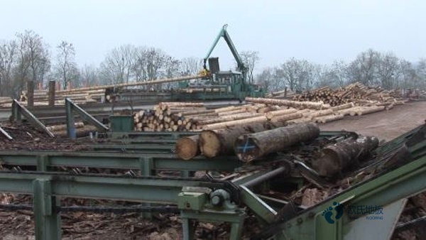 學(xué)?；@球場館地板耐磨度2