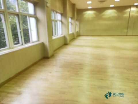 體育木地板行業品牌