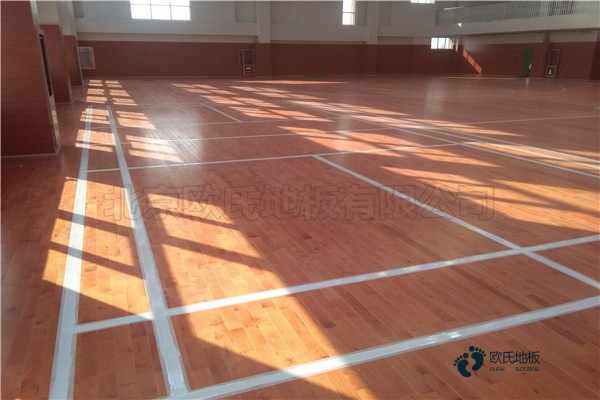 運動木地板領導品牌1