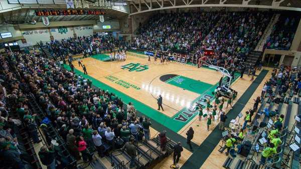 室內籃球木地板多少錢一平方2