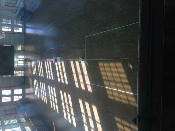 國(guó)產(chǎn)運(yùn)動(dòng)館木地板施工單位2