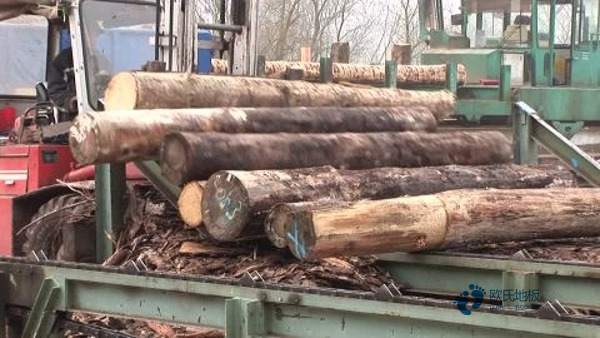 籃球場木地板施工工藝3