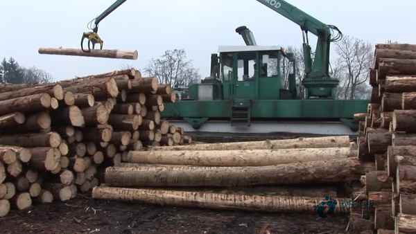 學校籃球場館地板耐磨系數2
