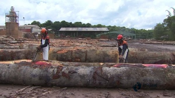 籃球場木地板施工技術要求2