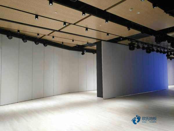 楓樺木運動籃球木地板報價