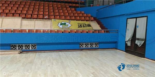 體育運(yùn)動(dòng)木地板品牌大全3