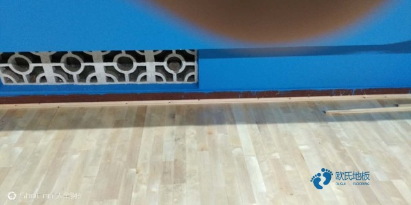 體育運(yùn)動(dòng)木地板品牌大全2