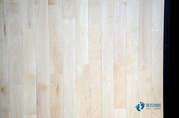 體育館運(yùn)動(dòng)木地板進(jìn)水3